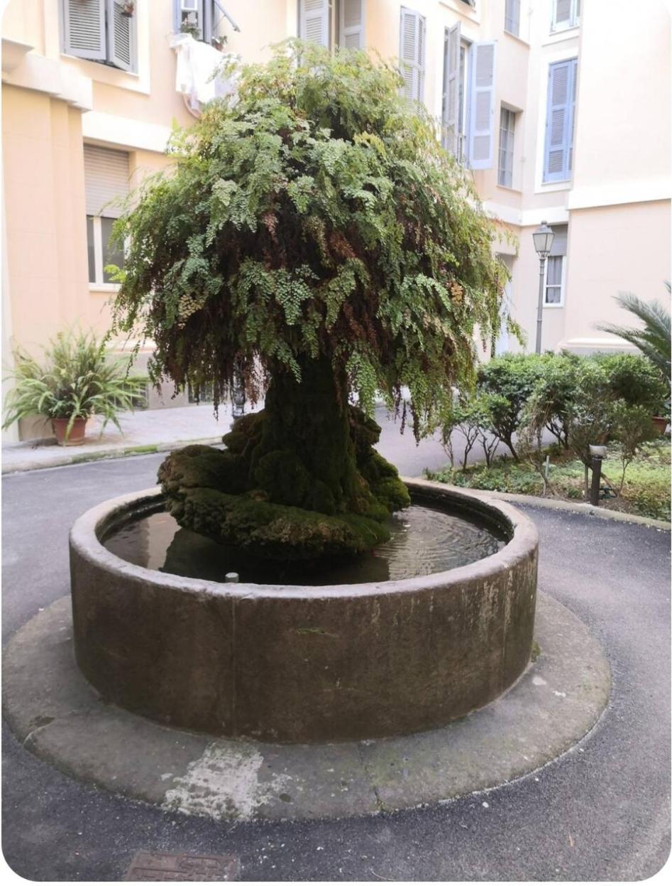Unconventional Stay Rome Exterior photo